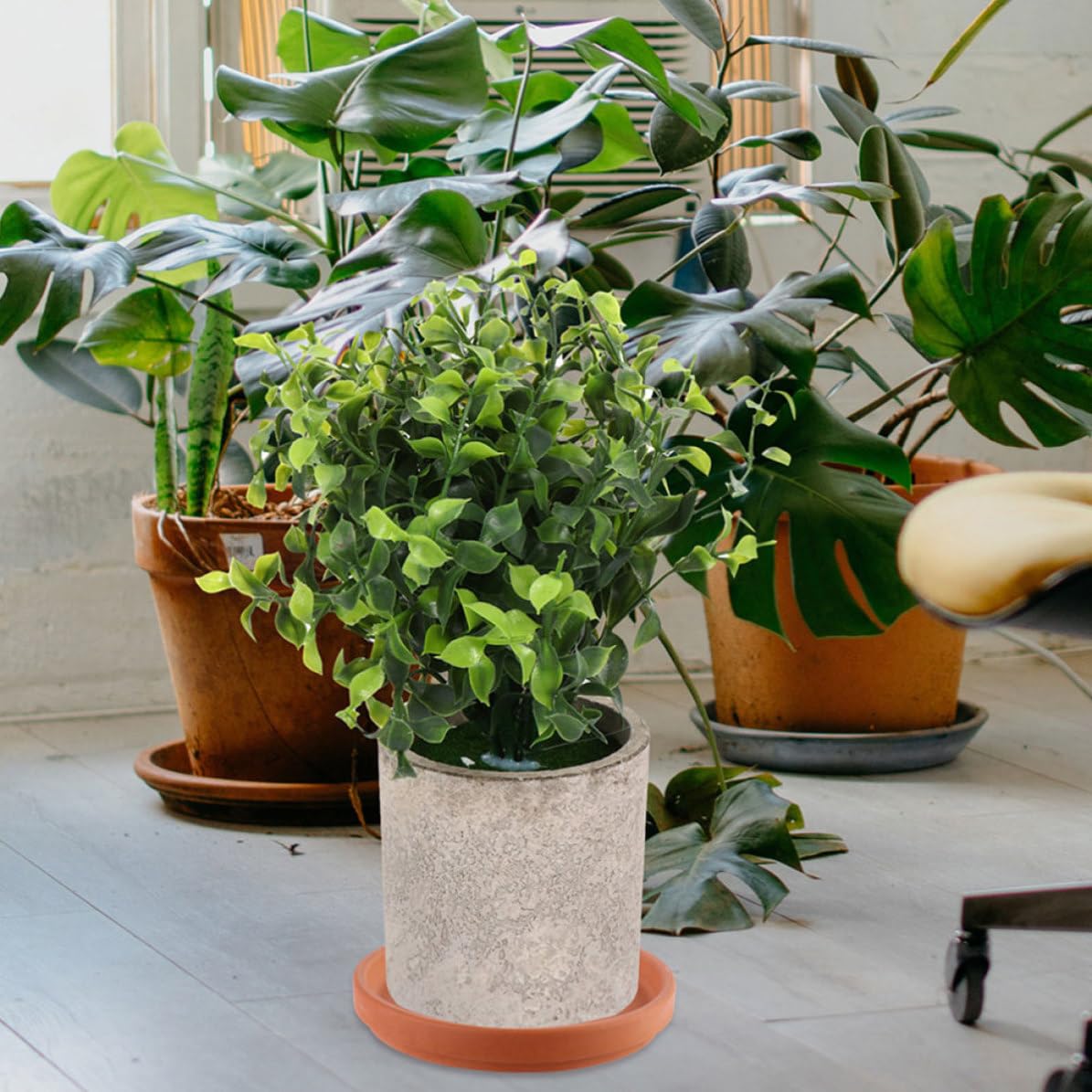 Alipis 4 Stück Runder Terrakotta Untersetzer aus Argil 18cm für Pflanzgefäße mit Wasserablauf und Stabilem Stand für Zimmerpflanzen und Blumentöpfe