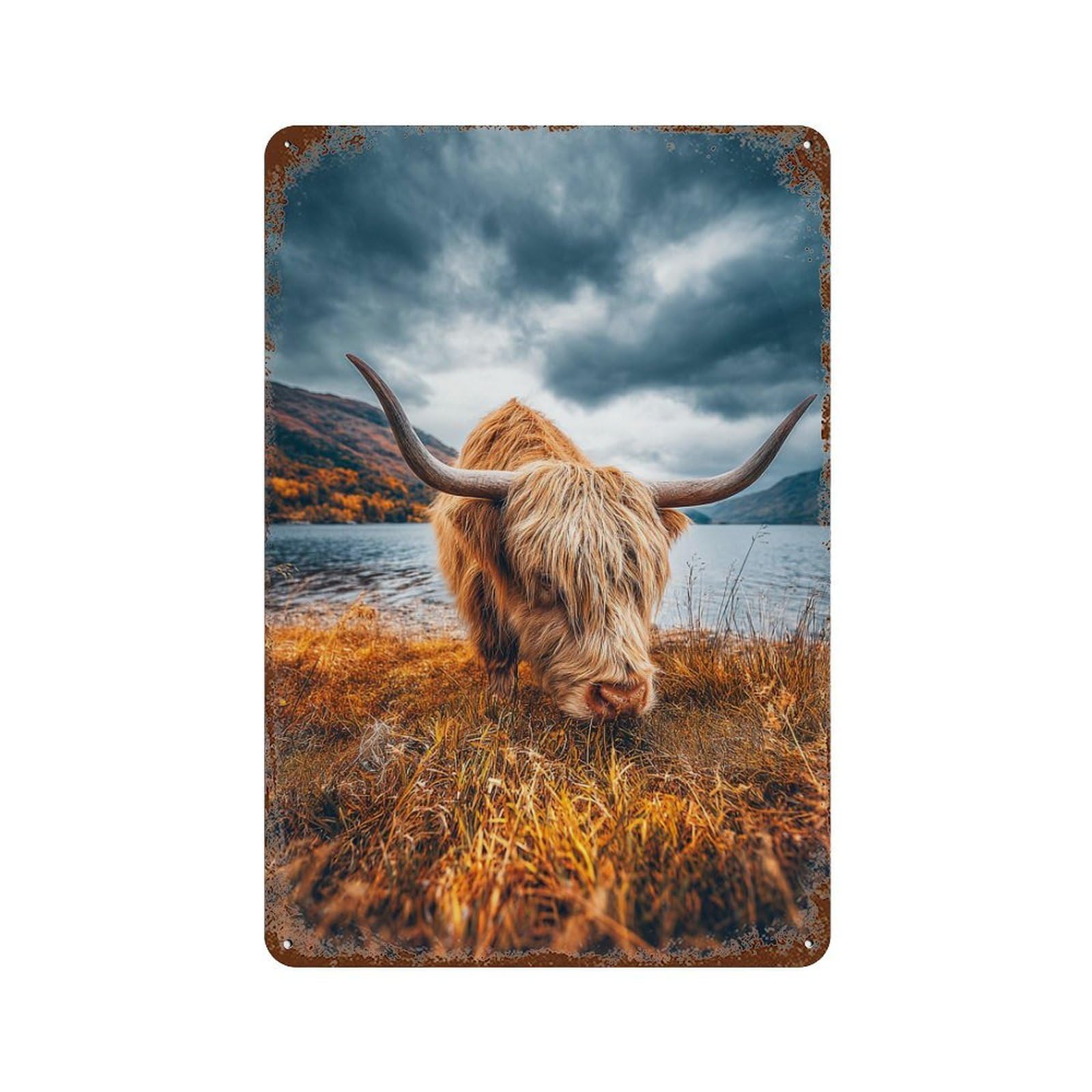 Rust Effect Scottish Highland Cow Grazing by Lake Vintage Metal Tin Sign 11.8"x7.9", Farmhouse Wall Decor for Garage, Bar And Workshop Decor