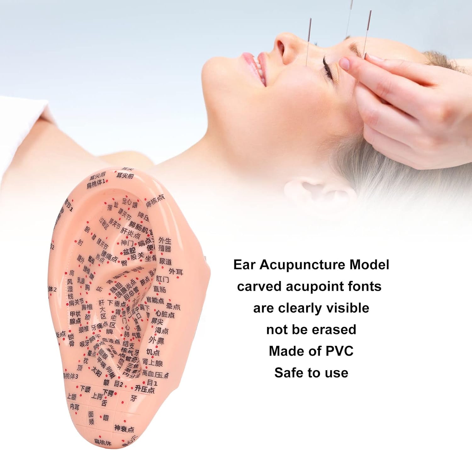 Learning Ear Acupuncture Model, Reflexology Tool Silicone Ear Acupuncture Model Display Soft for Lab