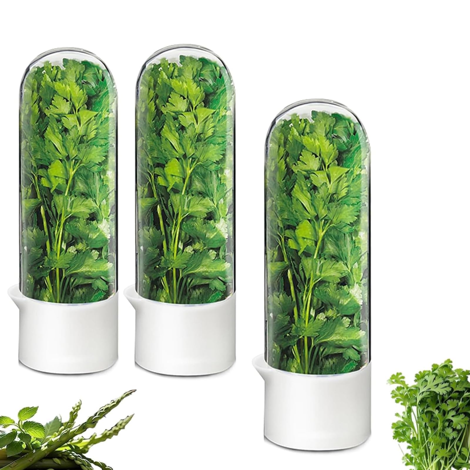 Herb Saver for Refrigerator - Herb Keeper & Cilantro Container for Fridge | Vegetable Preservation Storage Container for Cilantro, Basil, Asparagus | Extends Freshness Up to 2-3 Weeks (3PCS)