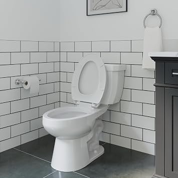 PROFLO PF2403 Reston ADA Compliant Elongated Toilet Bowl Only - White