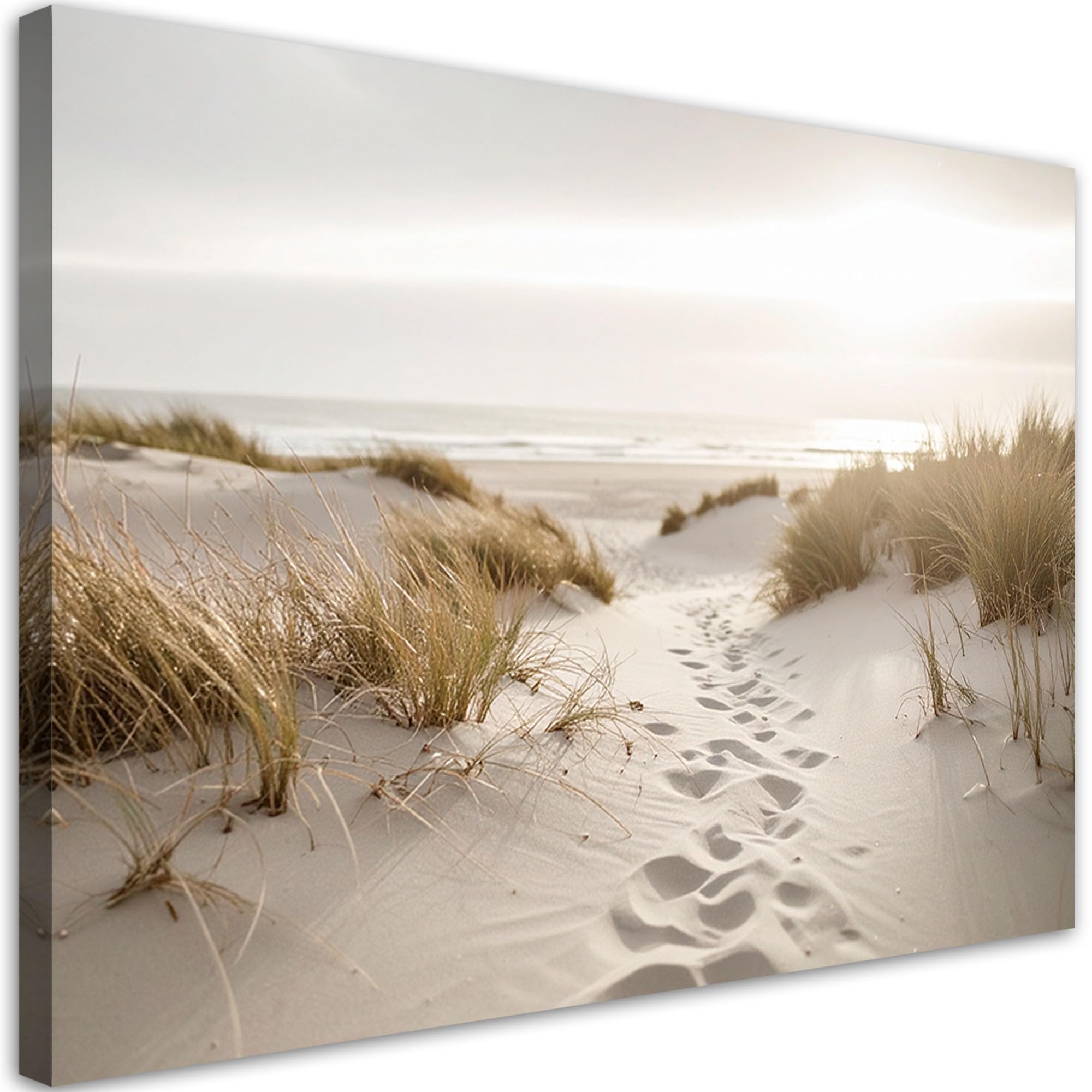 Feeby - Impression sur Toile - Chambre Salon - Plantes marines de plage dunes nature - 115x70 1partie - Tableau Mural Intissé - Peintures sur Toile pour la Maison - Modern canvas Pictures