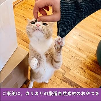鍋猫みかんです＊＊＊リード300 マルカンサンライズ AIM30 カリッとトリーツ チーズ味 5g×5袋