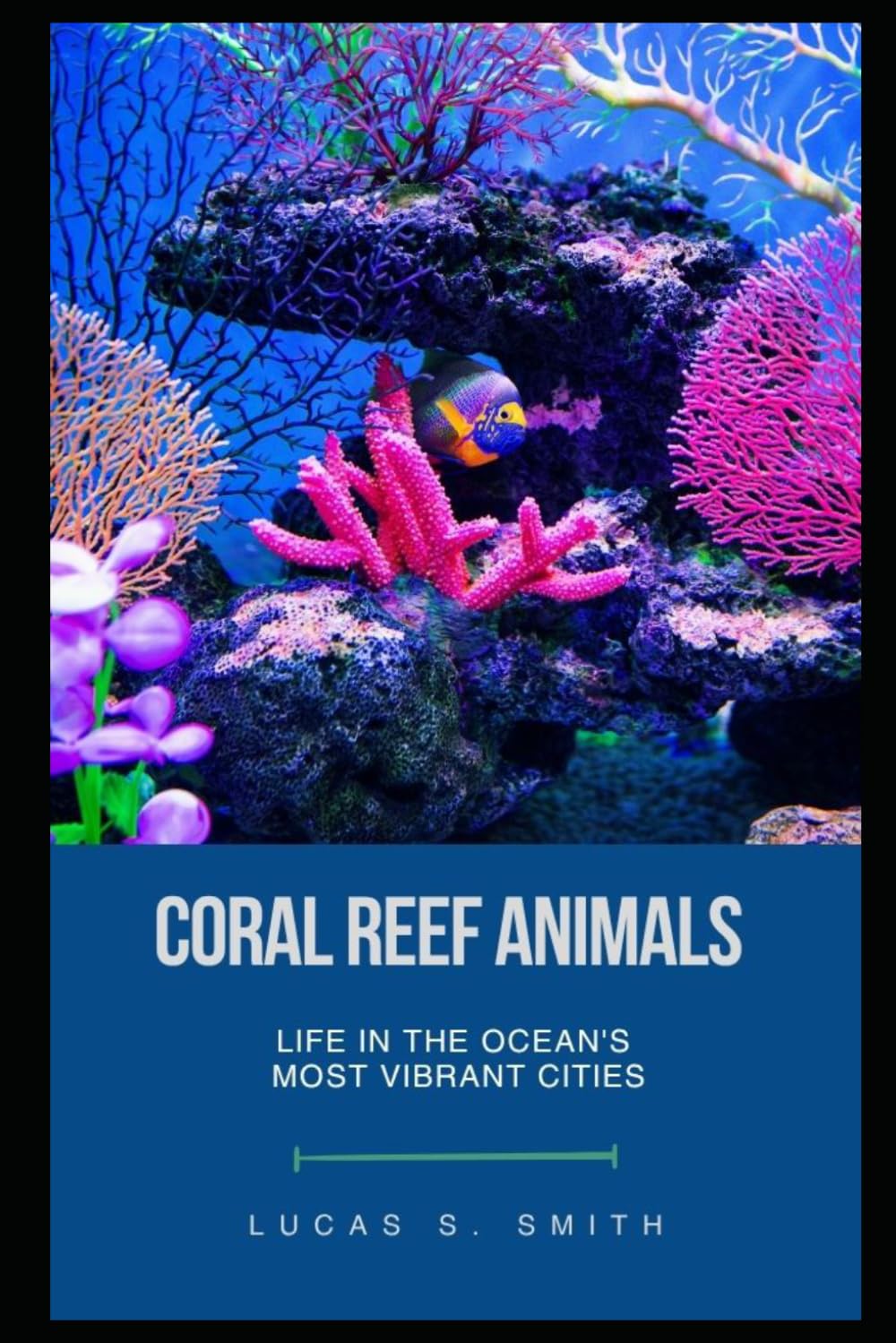 Coral Reef Animals: Life in the Ocean's Most Vibrant Cities