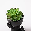 Product Photo 6