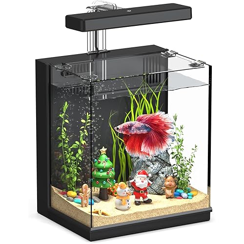 Beta Fish Tank, 2 Gallon Betta Fish Aquariums with Filter & Light, for Men, Fish Tanks for Kids & Starter, Black