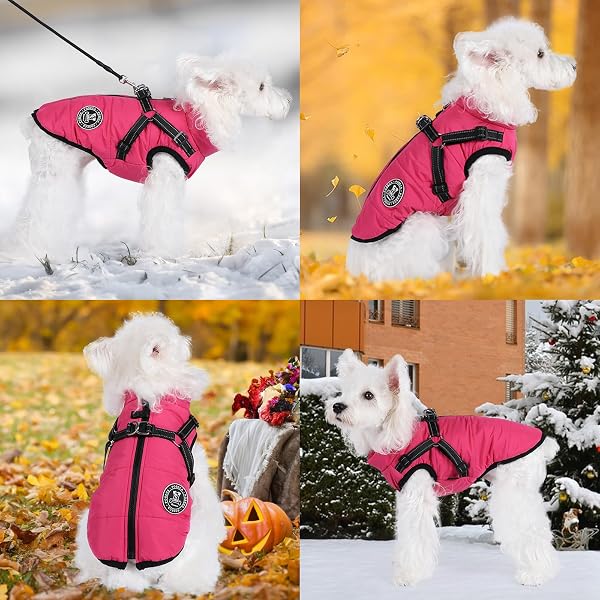 Poseca Waterproof Winter Coat for Small Dogs - Warm Vest Jacket with Harness for Small Medium Large Dogs - 3