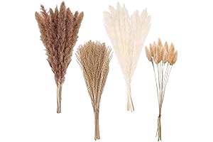 Elegant Pampas Grass Decor: An Oasis of Beauty for Your Home