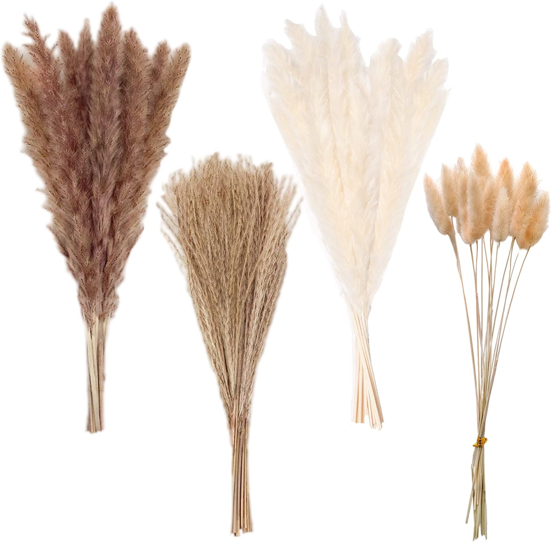 Pampas Grass Boho Home Decor, Premium Carefully Hand-Picked Natural Dried Fluffy Pompas Grass 17", White & Brown Pampas Grass, Reed, Bunny Tails for Flower Arrangements Boho Wedding Home Décor