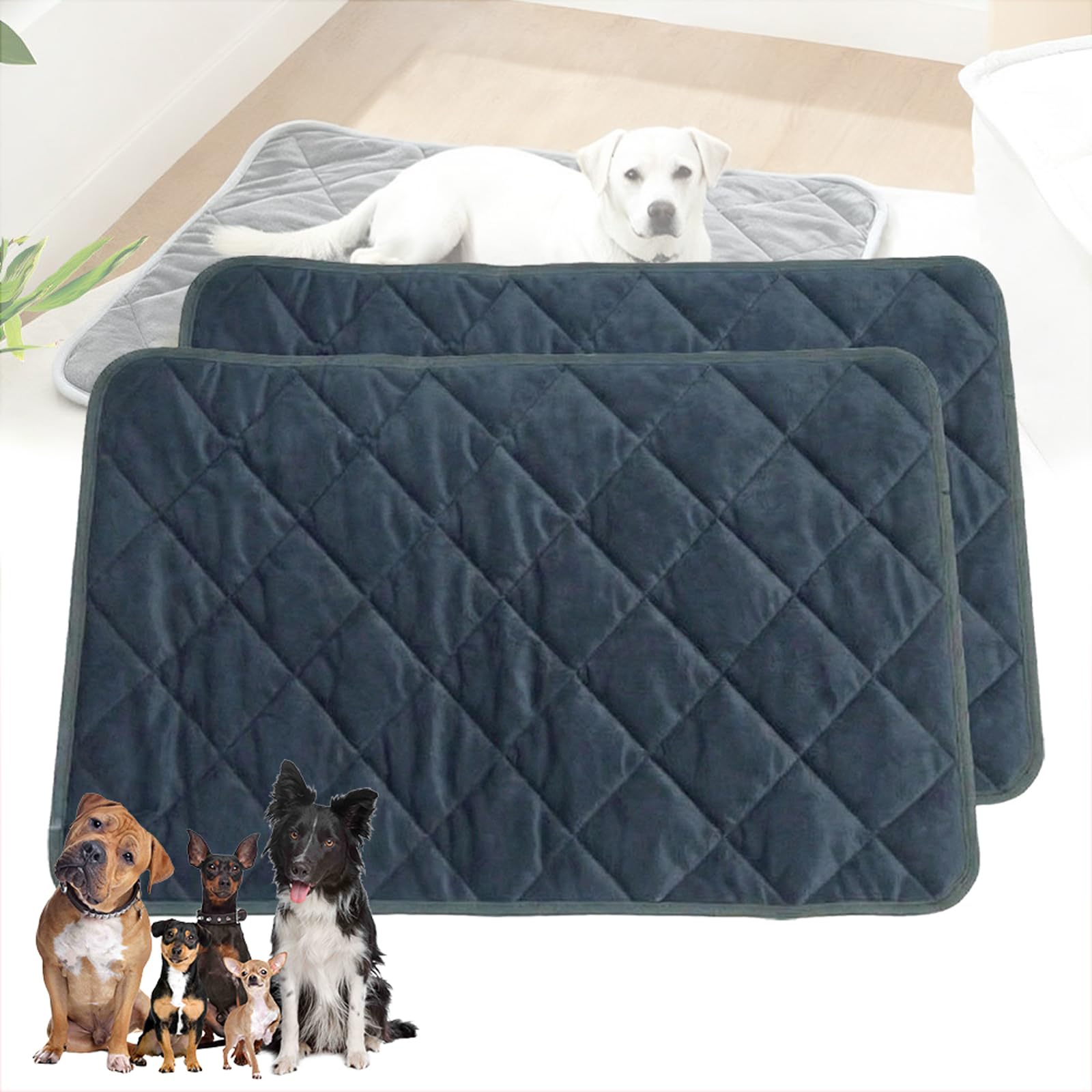 2 Pack Selbstwärmende Katzendecke, Selbstheizende Thermomatte, Selbstheizende Decke Katze, Waschbare, rutschfeste Liegematte für Hundeboxen und Zwinger, für Den Innenbereich