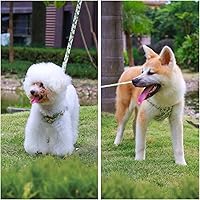 Vista 43 de CHEDE No Pull Floral Pattern Dog Harness - Lightweight and Soft, Adjustable Small Dog Harness Set with Leash, Suitable for Puppy to Medium-Sized Dog