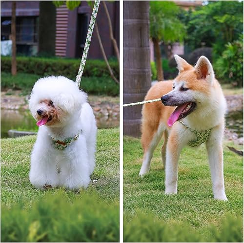 Miniatura 43 de CHEDE No Pull Floral Pattern Dog Harness - Lightweight and Soft, Adjustable Small Dog Harness Set with Leash, Suitable for Puppy to Medium-Sized Dog