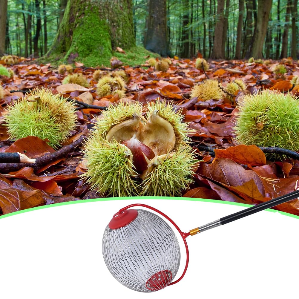Recolector de Nueces y Bellotas Rodillo de Acero Talla L | Cesta de Alambre de Acero Bellotas con Rodillo de Eficiencia Recogedor Portátil de Talla Grande L para Trabajo de Jardinería
