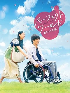 パーフェクトワールド 君といる奇跡