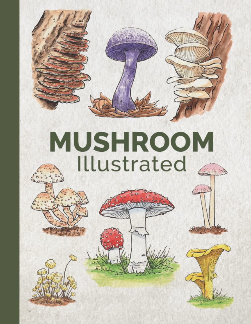 Mushroom Illustrated: A Mushroom Visual Guide