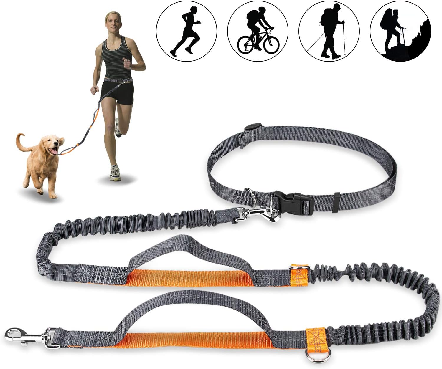 Hands-Free Dog Lead, Dog Belt, Waist Belt, Dog Lead, Coupler, Running and Jogging Lead, Belt with Retractable Bungee, Reflective Stitching for up to 110 kg Dogs (Orange)