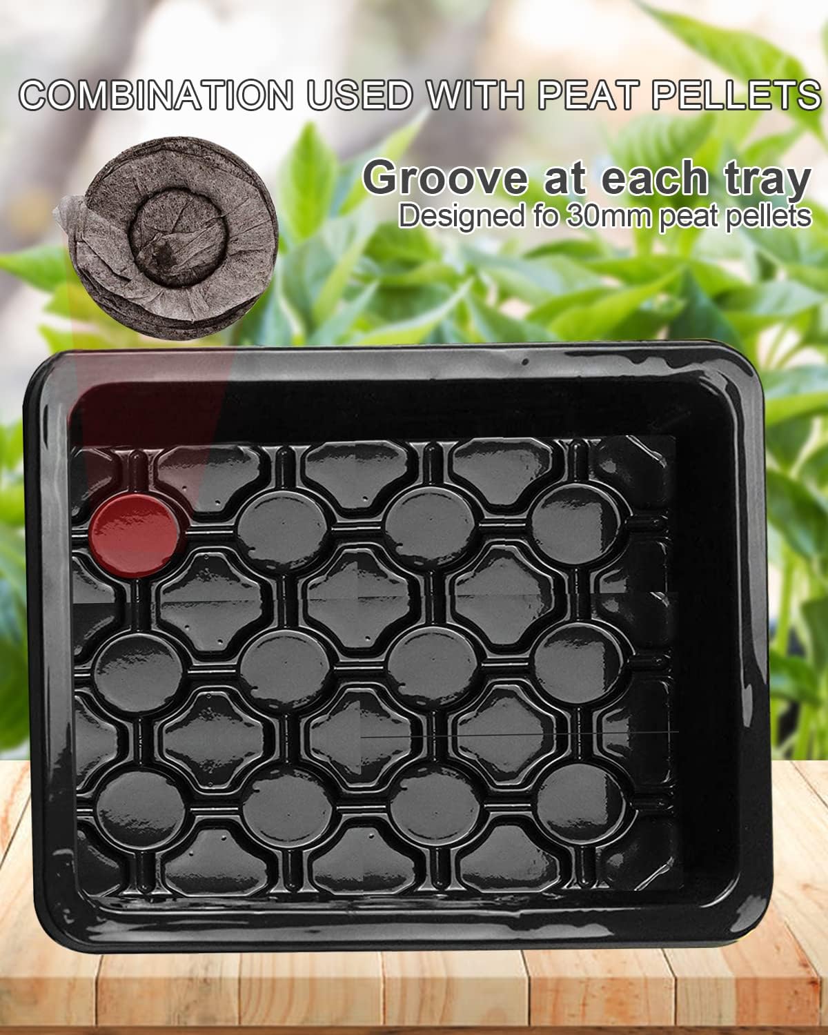 10 Pack Seed Starter Tray Humidity Adjustable Plant Germination Trays with Dome and Base Greenhouse Seed Tray Mini Propagator for Seed Starter Kit (12 Cells Per Tray) Plant Tags Hand Tool Kit(Black)