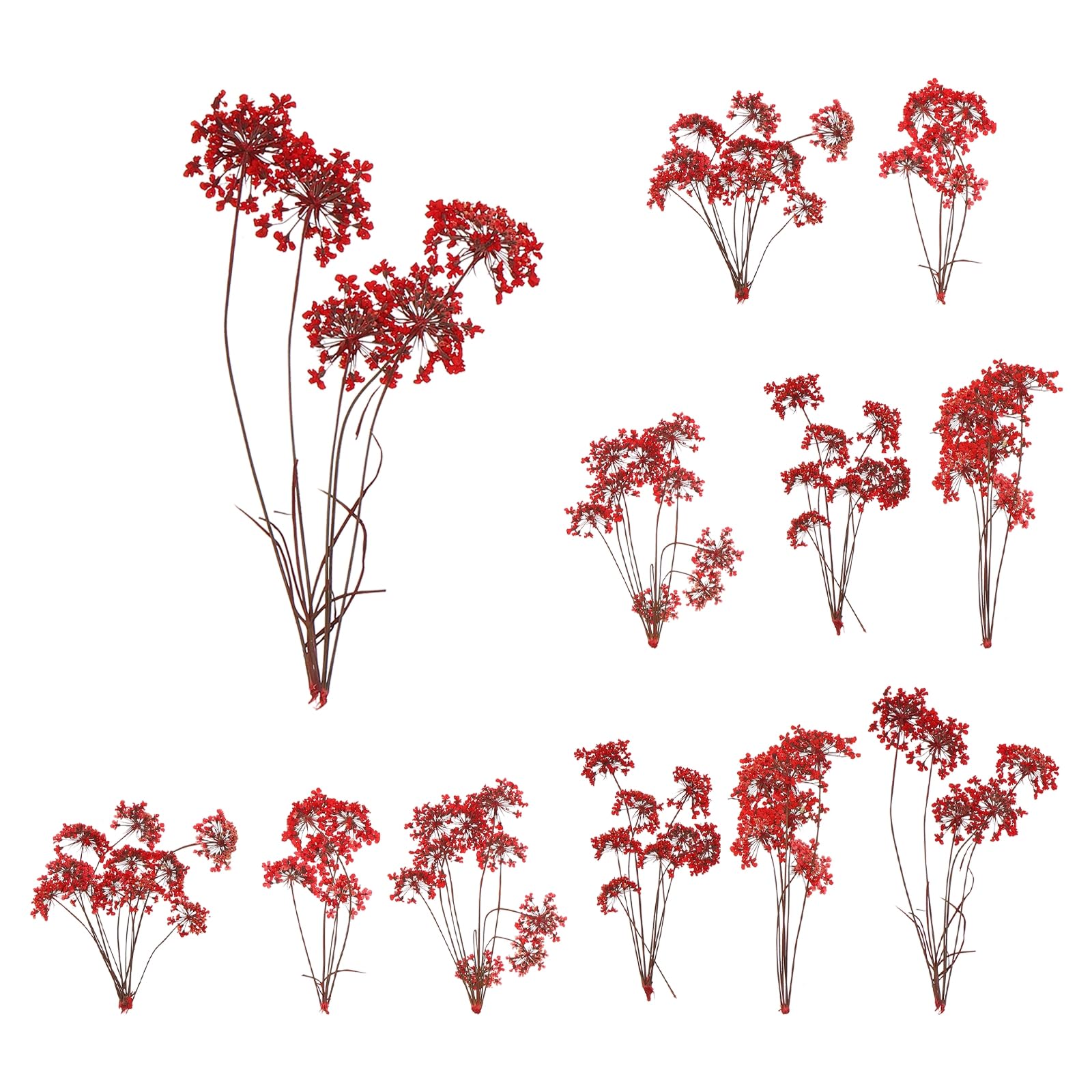 sourcing map 12 Pcs Natural Dried Pressed Flowers for Craft, Lace Real Pressed Dried Flowers Colorful Bouquets for Resin Moulds DIY Scrapbooking Candle Jewelry Making, Red