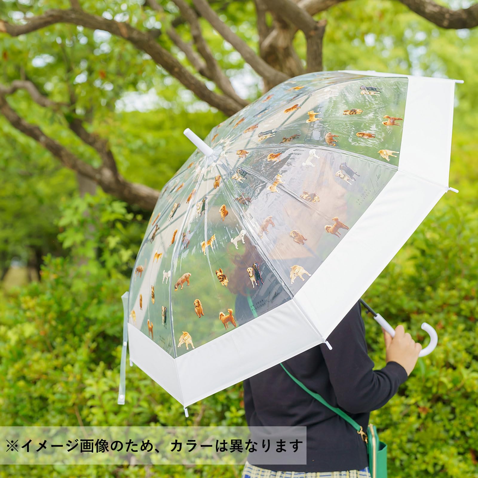 Amazon.co.jp: グロリア EVA 切り継ぎ 転写 ビニール傘 60cm 花