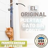 Ver la foto 2