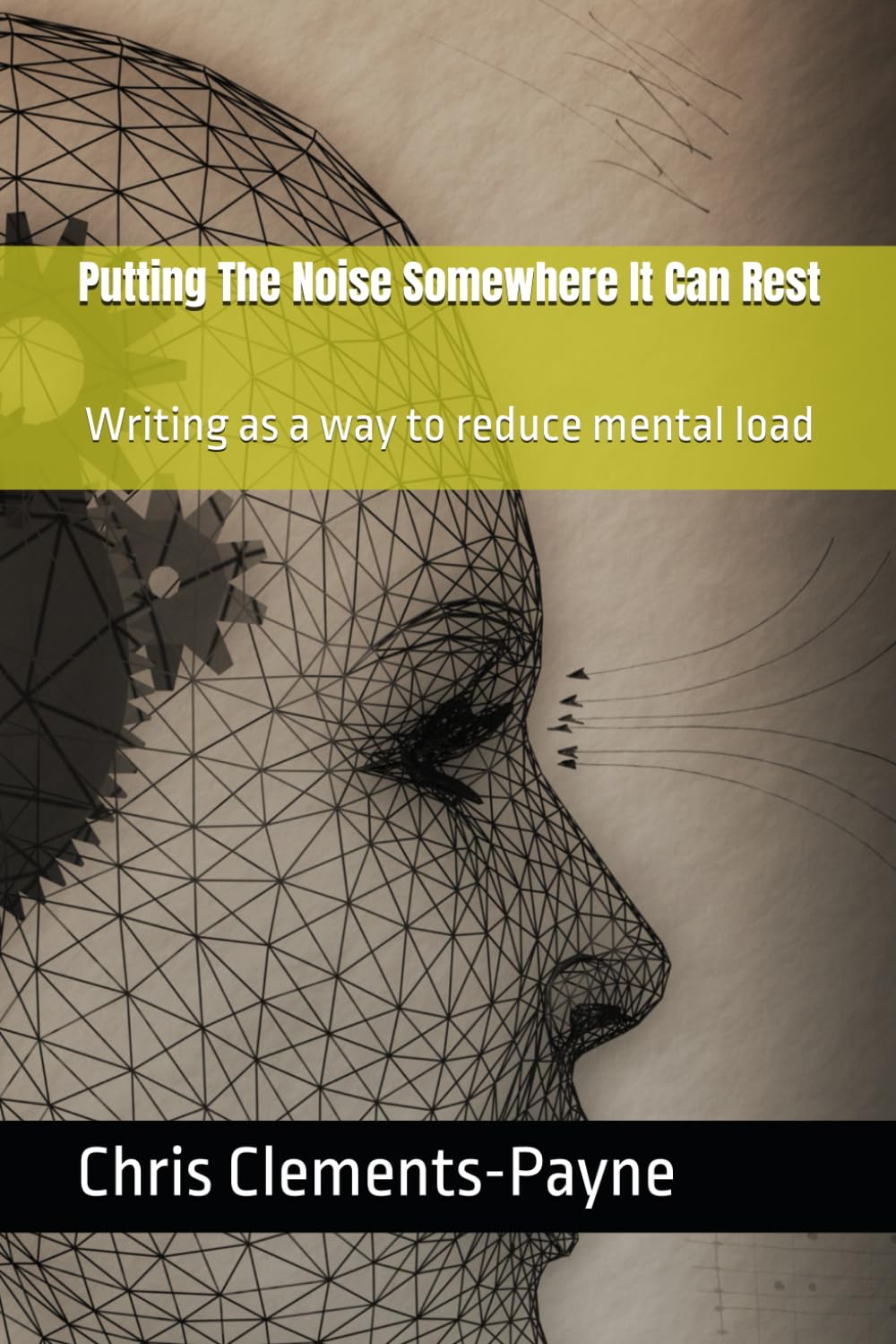 Putting The Noise Somewhere It Can Rest: Writing as a way to reduce mental load