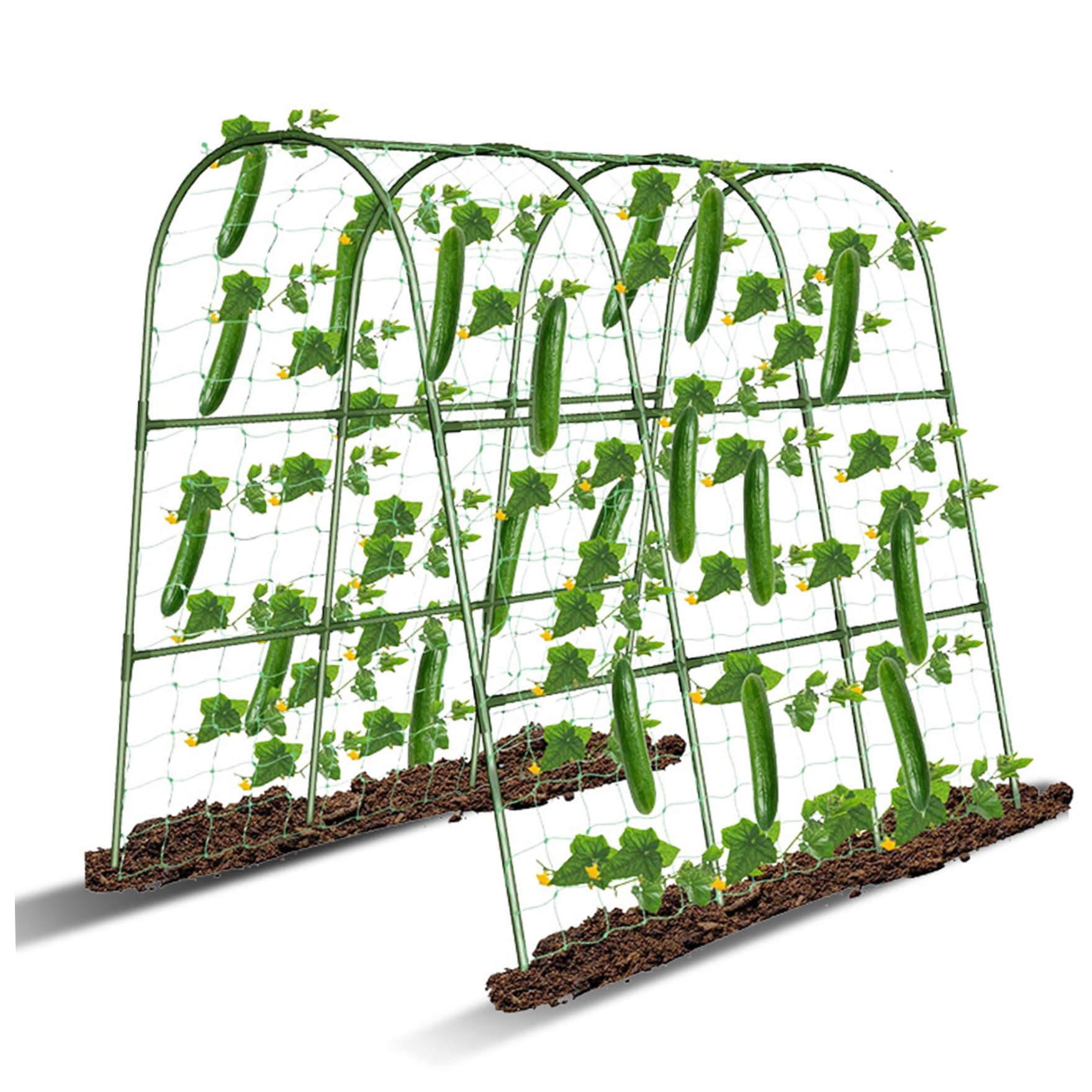 Support plante en forme U pour aménager un potager vertical de tomates et concombres