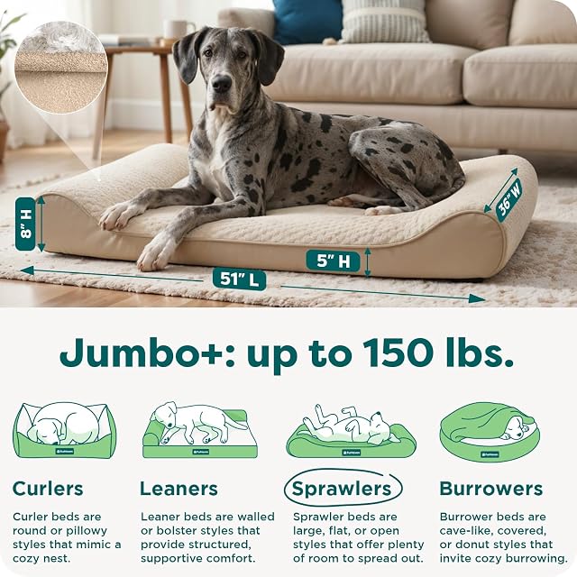 Foto 3 de 8 de Furhaven Cama ortopédica para Perros Grandes con Funda extraíble Lavable, para Perros de hasta 150 Libras