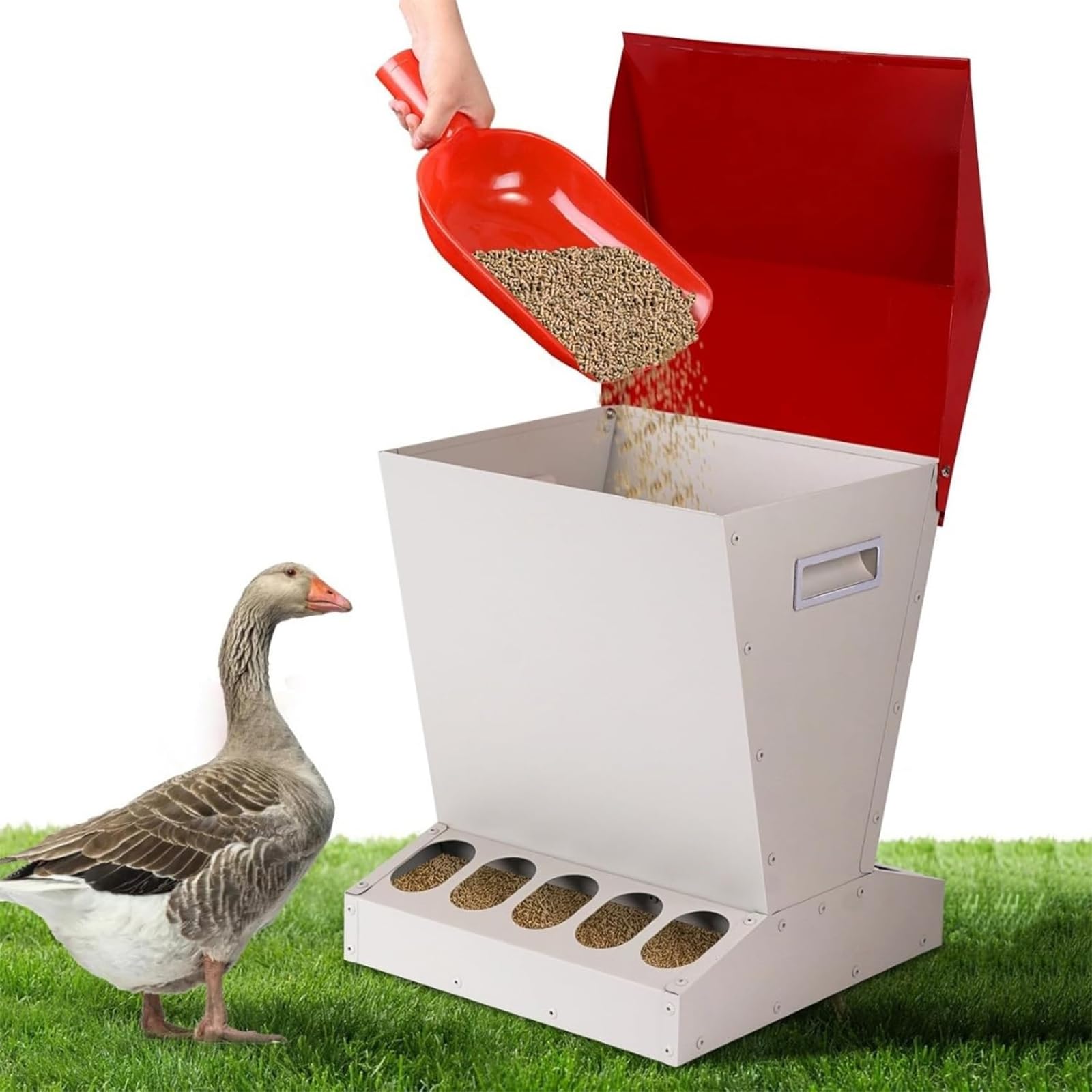 Comedero Automático para Pollos 11kg,comedero para Aves Corral Al Aire Libre con 10orificios Y Tapa Acero Inoxidable,alimentación Conveniente a Pedido Y Sin Desperdiciar,para Gallos, Faisanes