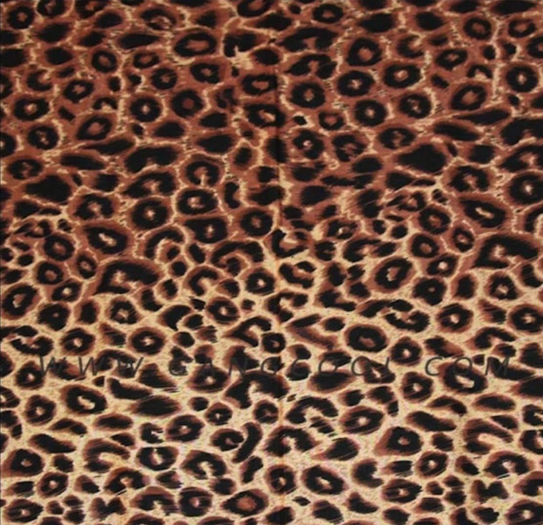 Gastro Club Cheetah Print Original Bandana