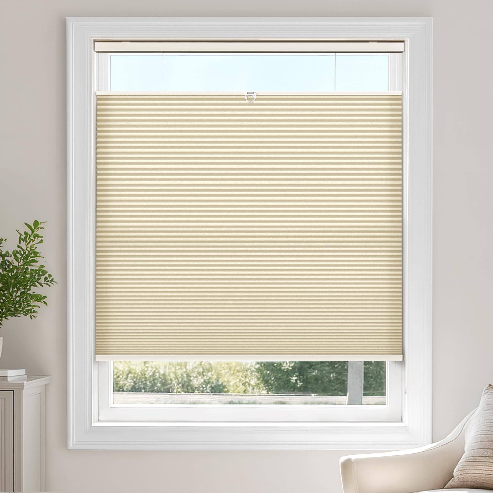 LazBlinds Top Down Bottom Up (TDBU) Cordless Cellular Shades - Light Filtering with Privacy, Thermal Insulation, Noise Reduction Honeycomb Blinds for Windows 29" W x 64" H, Beige - Light Filtering