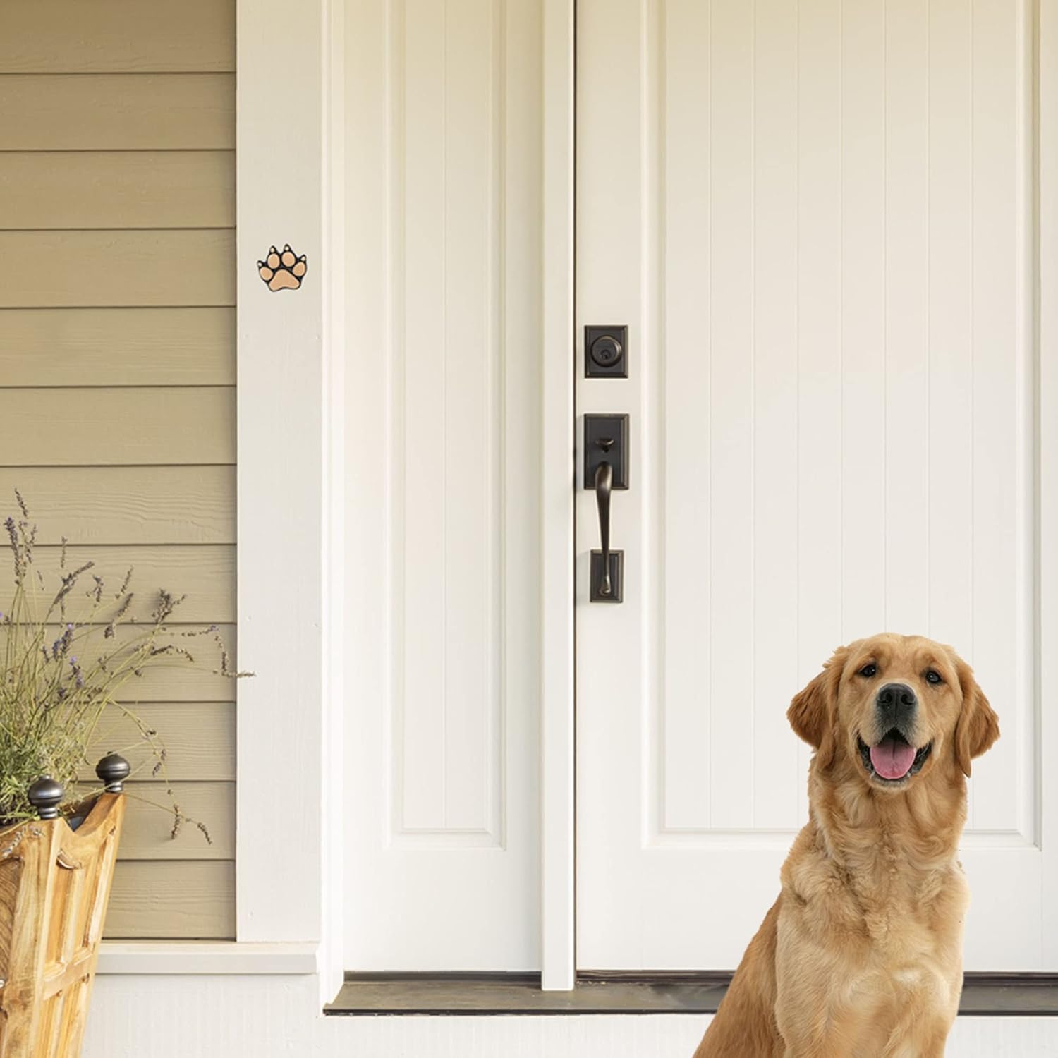 Michael Healy Dog Paw Doorbell Ringer - Brass