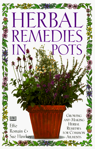 Herbal Remedies in Pots