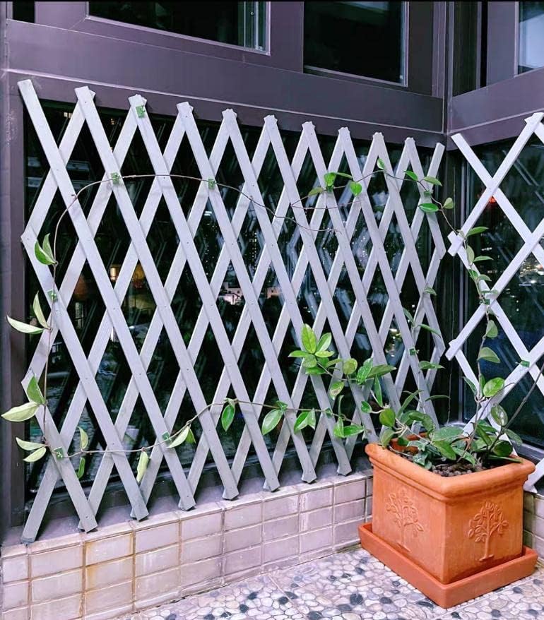 Makeup Toy Extendable Wicker Wood Fence Wooden Garden Fence Wood Fence Portable Trellis Fence Expanding Wicker Wooden Fence for Home Garden Villa Indoor Outdoor Decor (75cm 2-Piece)
