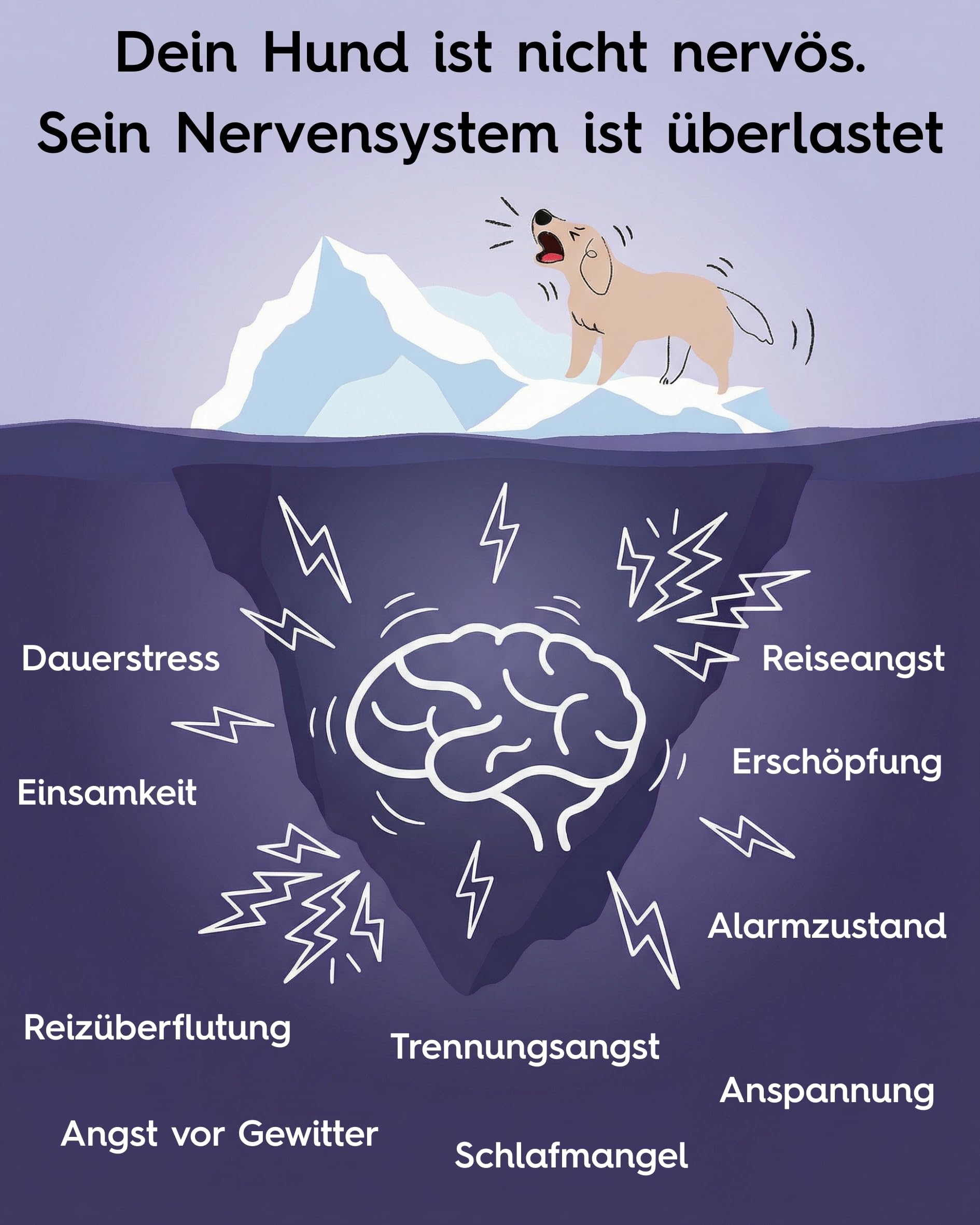 Lucky Pets NEU Beruhigungstabletten für Hunde 150 Stück – Mit L-Tryptophan, Baldrian und Hanfsaat – Bei Angst, Stress, Reisen und Silvester – Beruhigungsmittel für Hunde – Made in Germany
