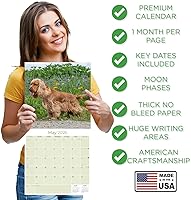 Vista 112 de Razas de Perros 2017