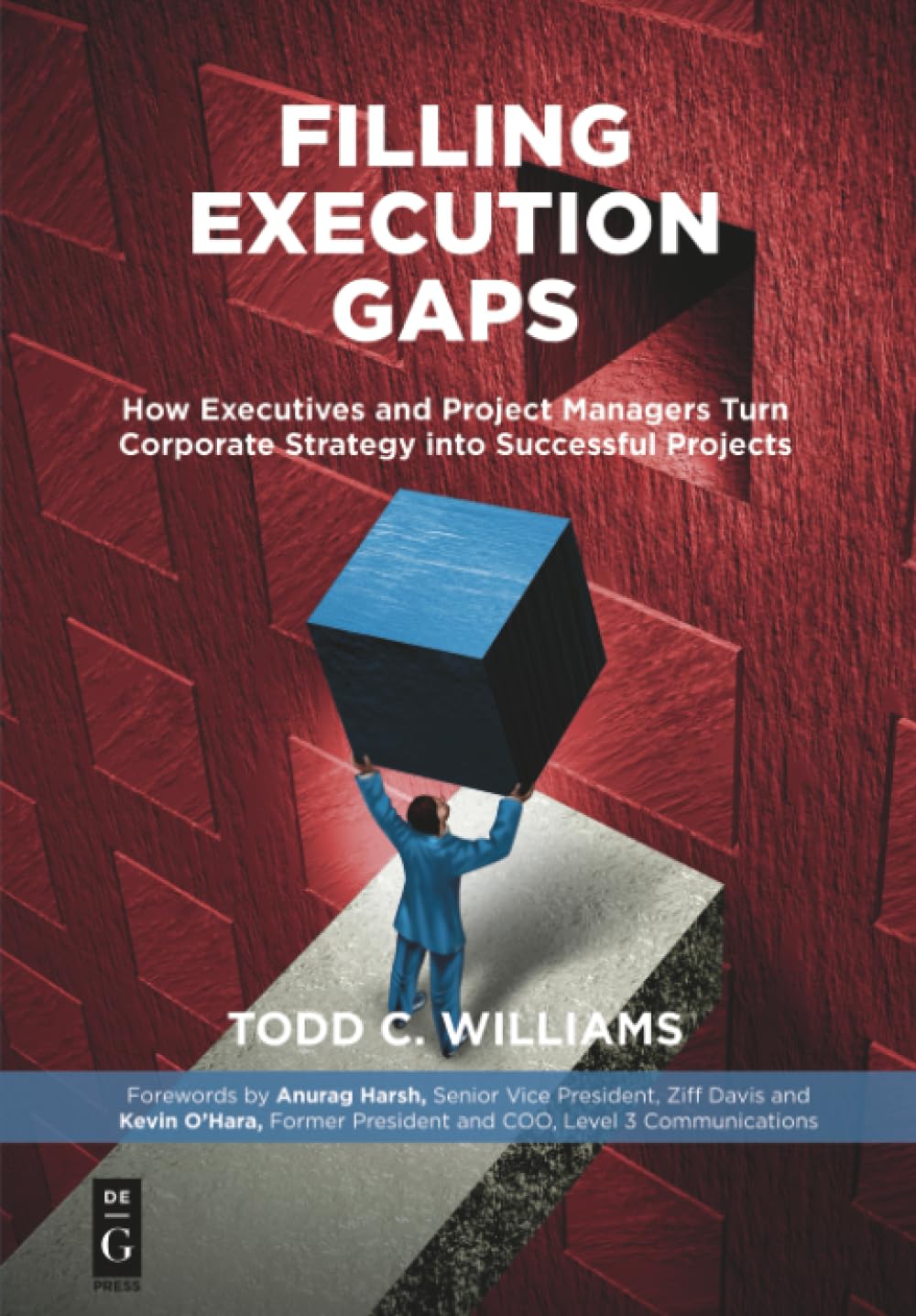 Filling Execution Gaps: How Executives and Project Managers Turn Corporate Strategy into Successful Projects