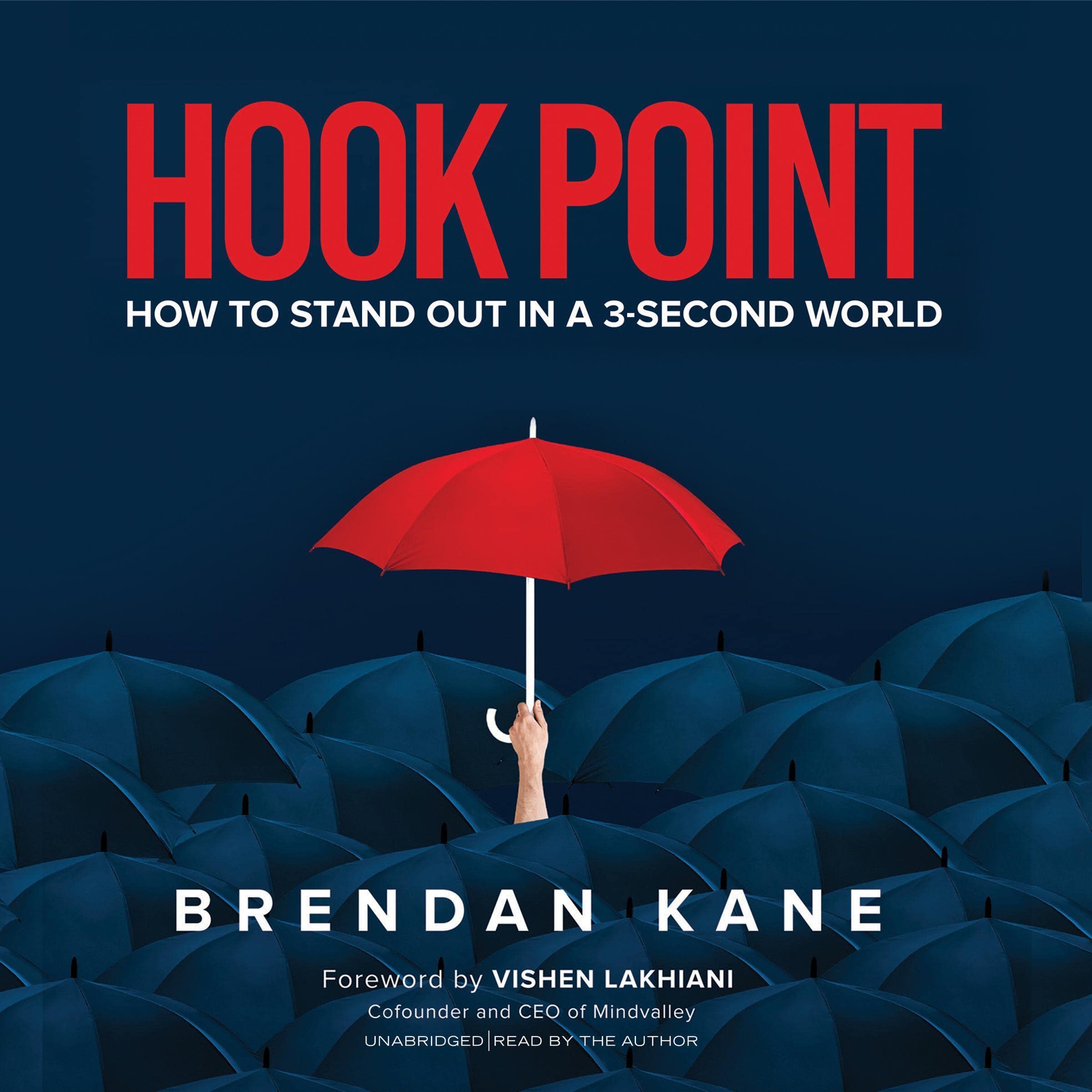 Cover art for Hook Point