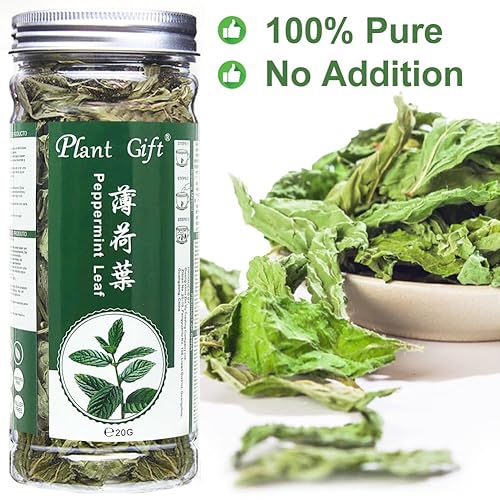 Miniatura 5 de Plant Gift Té 100% menta, té de menta, hojas de menta, té saludable, bolsas de té de menta orgánica, flor saludable, té de menta 0.7 onzas
