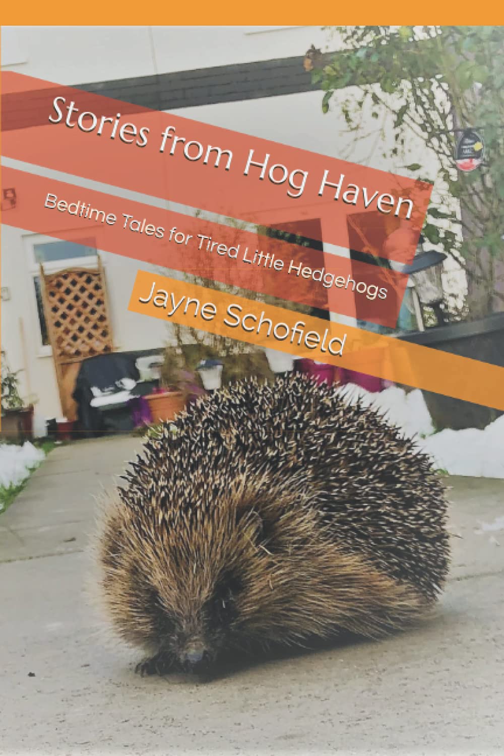 Stories from Hog Haven: Bedtime Tales for Tired Little Hedgehogs