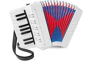 Accordion Para Niños: 17 Keys Piano Accordion for Beginners