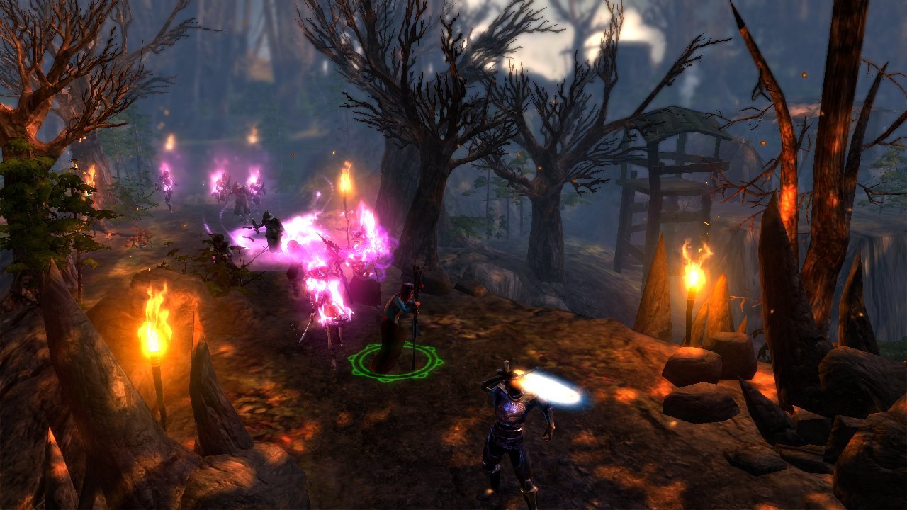 Dungeon Siege III: Limited Edition (PC DVD) - [Edizione: Regno Unito]