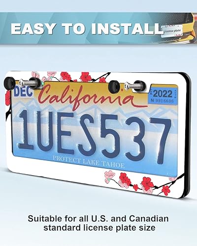 Miniatura 6 de Sakura - Marco de matrícula con flores florales rosas personalizables, bonitos marcos de matrícula para automóvil, a prueba de óxido, accesorios de