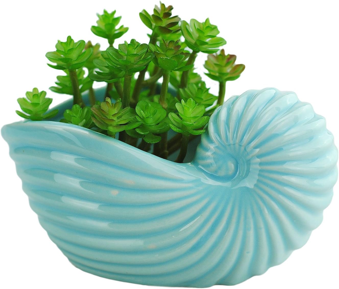 VanEnjoy 5" Ceramic Succulent Pot - Cute Seashell Conch Shape Sky Blue, Drainage Hole, Durable Cactus Planter for Indoor Decor