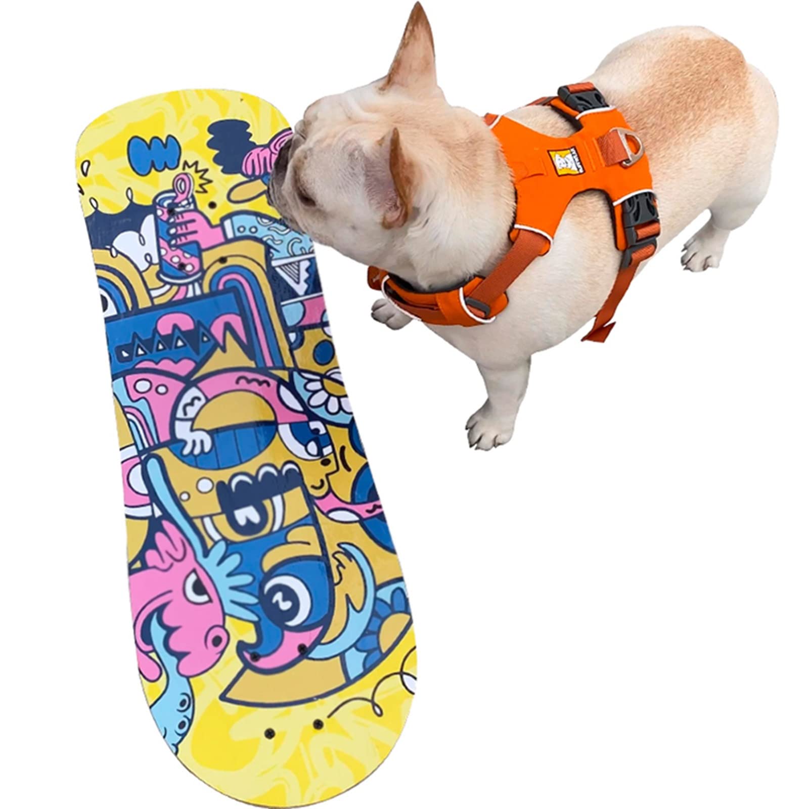 Amazon.co.jp: スケートボード、犬用スケートボード、ミニ