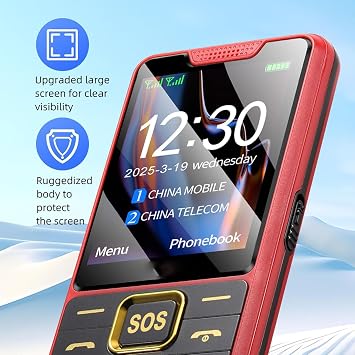4G Basic Cell Phone for Elderly - Big Buttons, SOS Emergency Key, 2.4 Inch Display, Dual SIM, Photo/Video/Audio Recording, MP3, FM Speaker, Torch,SOS Button,Red