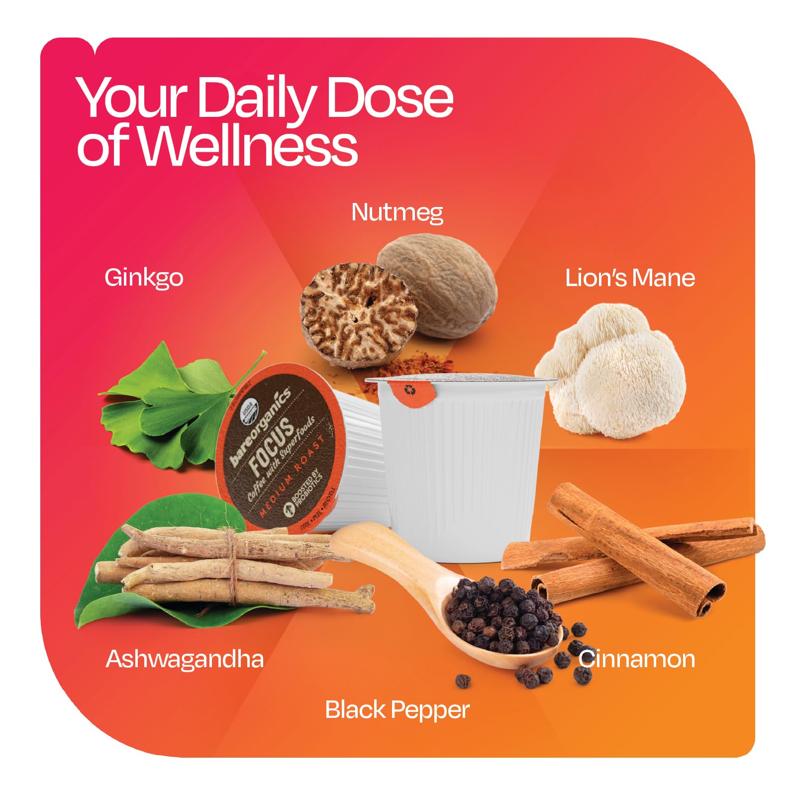 Focus Coffee with Superfoods - Organic Probiotic Mushroom Coffee Pods, Supports Healthy Focus & Digestion, Infused with Ashwagandha, Lion's Mane, and Cinnamon - 10 Recyclable Single Serve K-Cups thumbnail 4