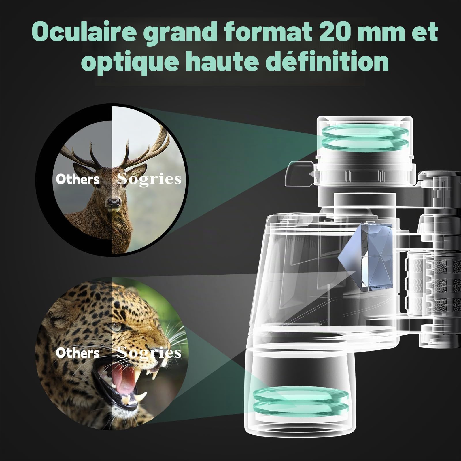 Sogries Jumelles Zoom 6-16x40 pour Adultes | Grossissement variable, lentilles FMC, prisme BAK4, pour observation des oiseaux, nature et événements