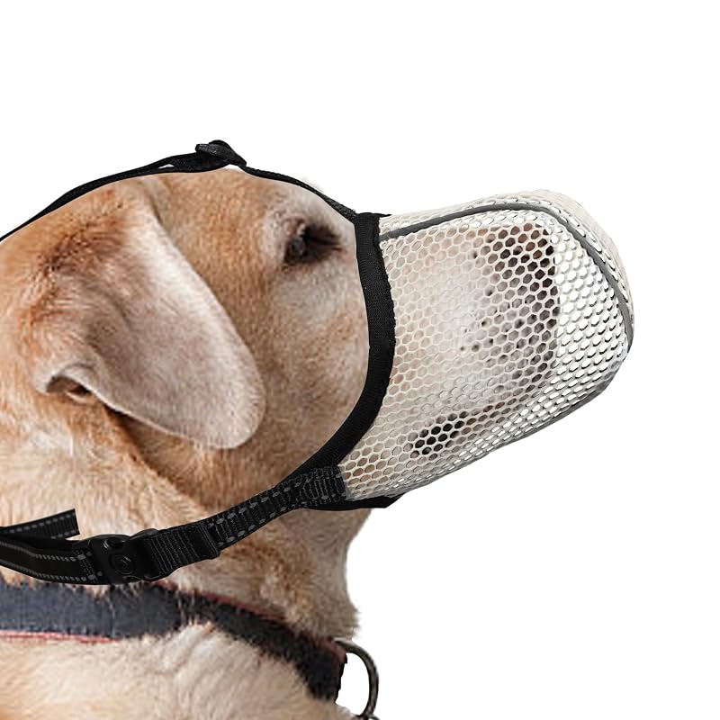 Focinheira para Cães com Air Mesh e Tiras Refletivas JOYPAWS Beige XL