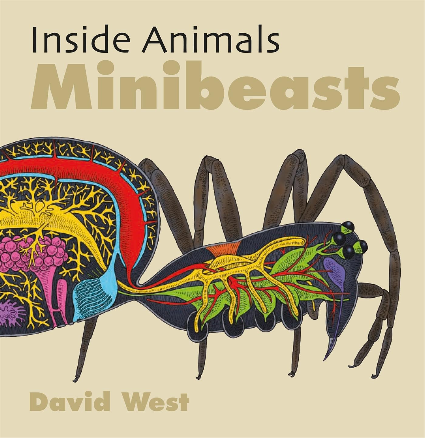Minibeasts