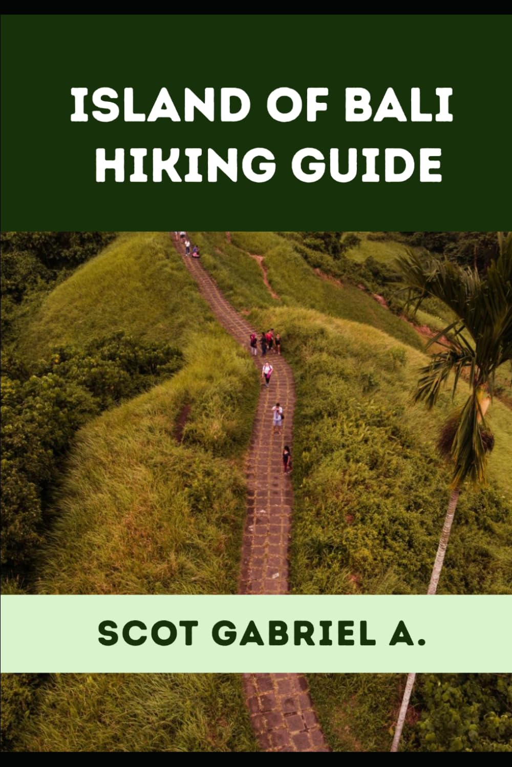 ISLAND OF BALI HIKING GUIDE (The Explorer’s Hiking Collection)